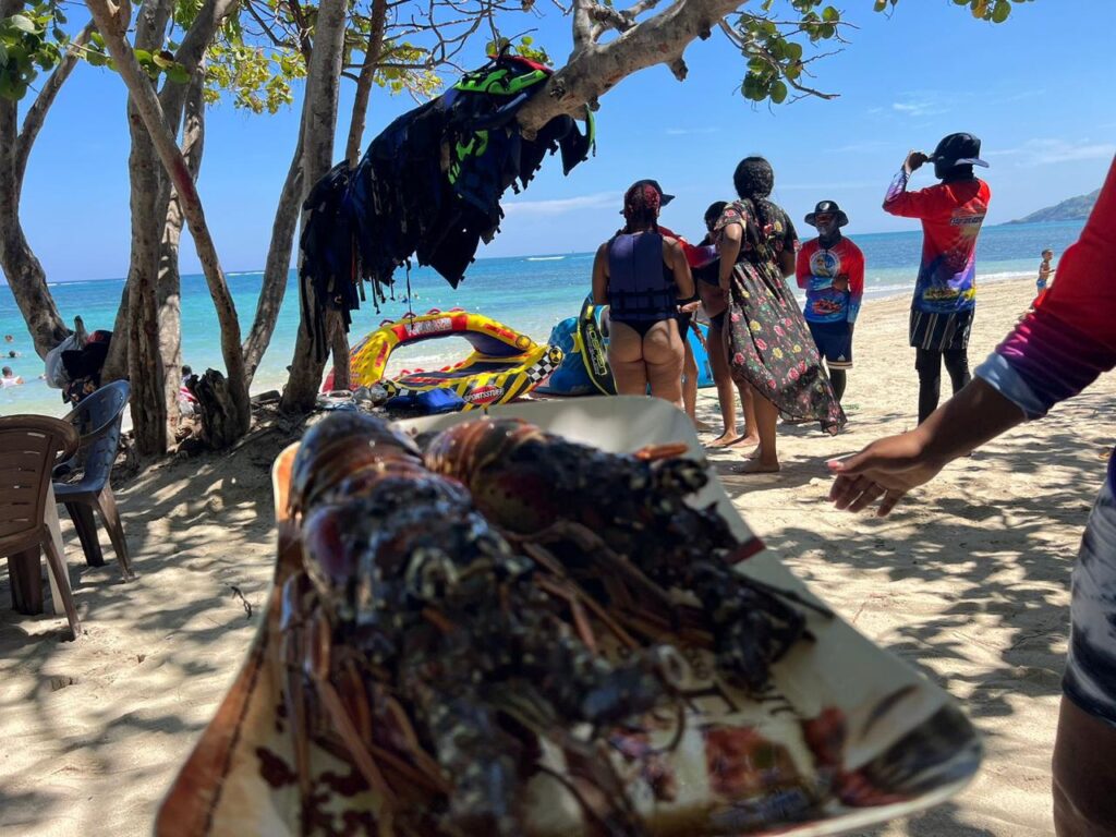 Día de Playa con Banana o Disco 1