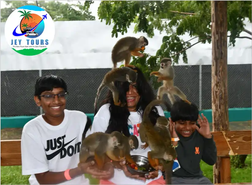 Monkey Jungle Tour and City Tour in Puerto Plata 5
