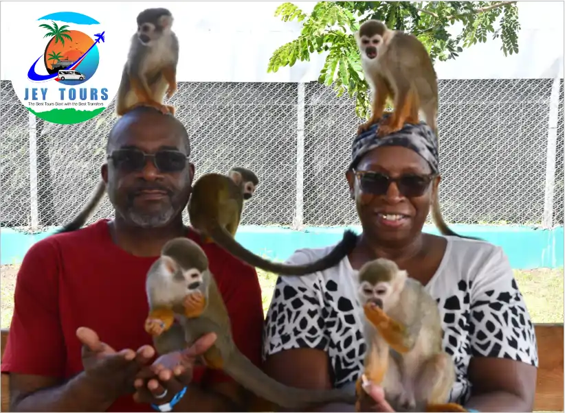 Monkey Jungle Tour and City Tour in Puerto Plata 3