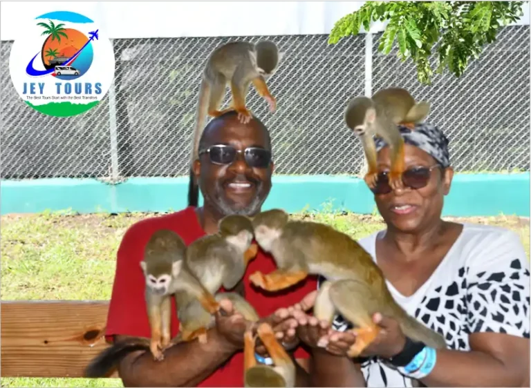 Jey Tours