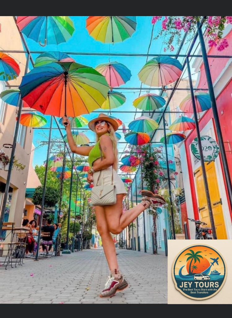 Santuario de Mariposas, Campo, City Tour y Playa 3