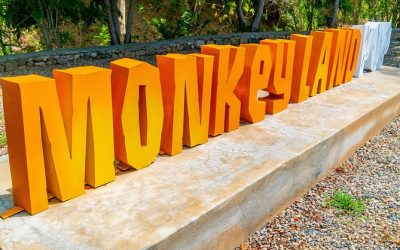 Monkeyland: la joya de las excursiones desde Taino Bay