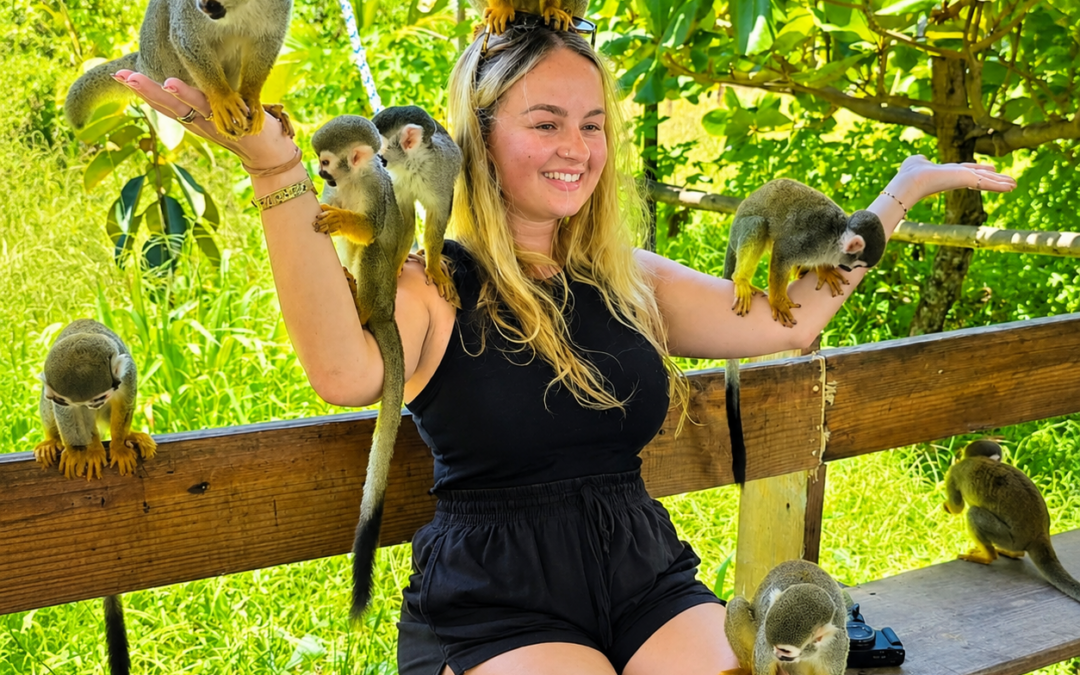 Tour de Monos en Puerto Plata y City Tour Privado