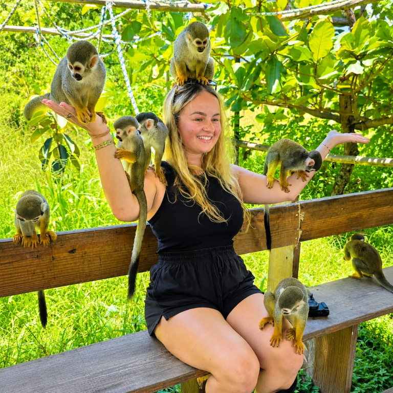 Monkey Jungle Tour and City Tour in Puerto Plata