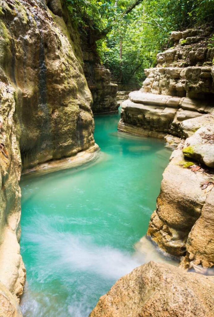 Tour Cascadas Damajagua y Monos Ardillas | Privado VIP 4
