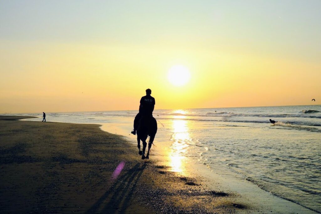 Paseo a Caballo en Puerto Plata 6