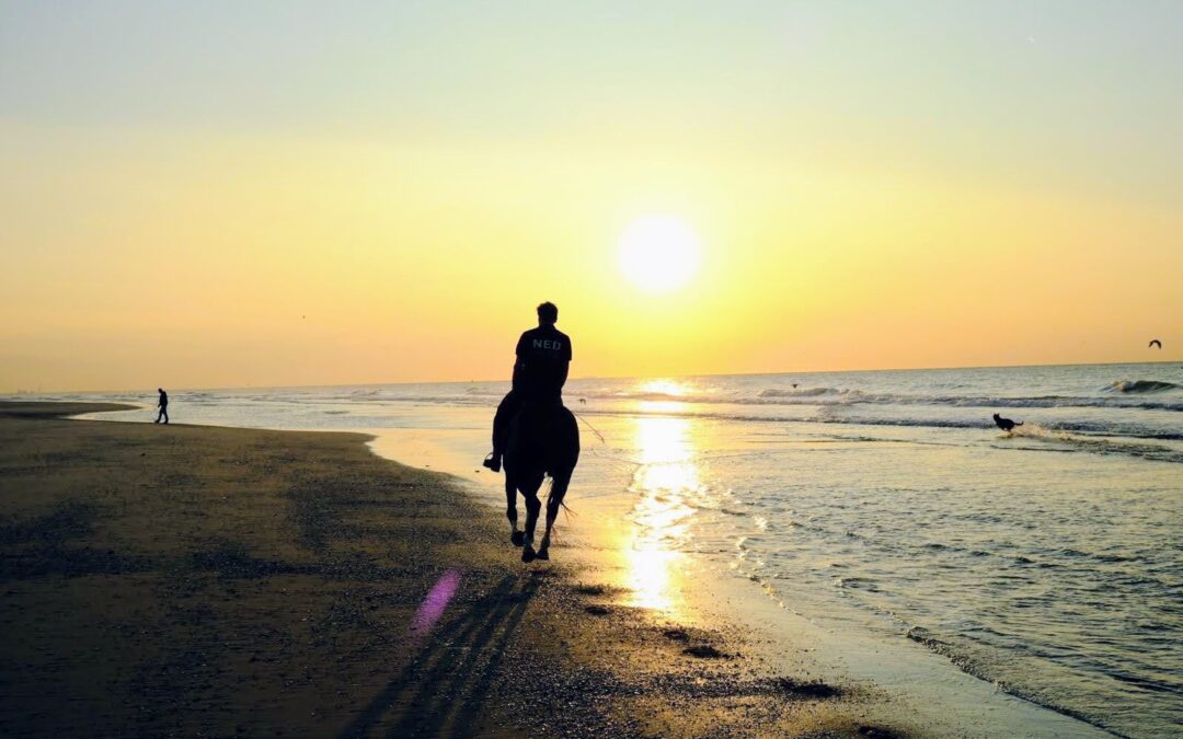 Paseo a caballo, City Tour y Playa en Puerto Plata