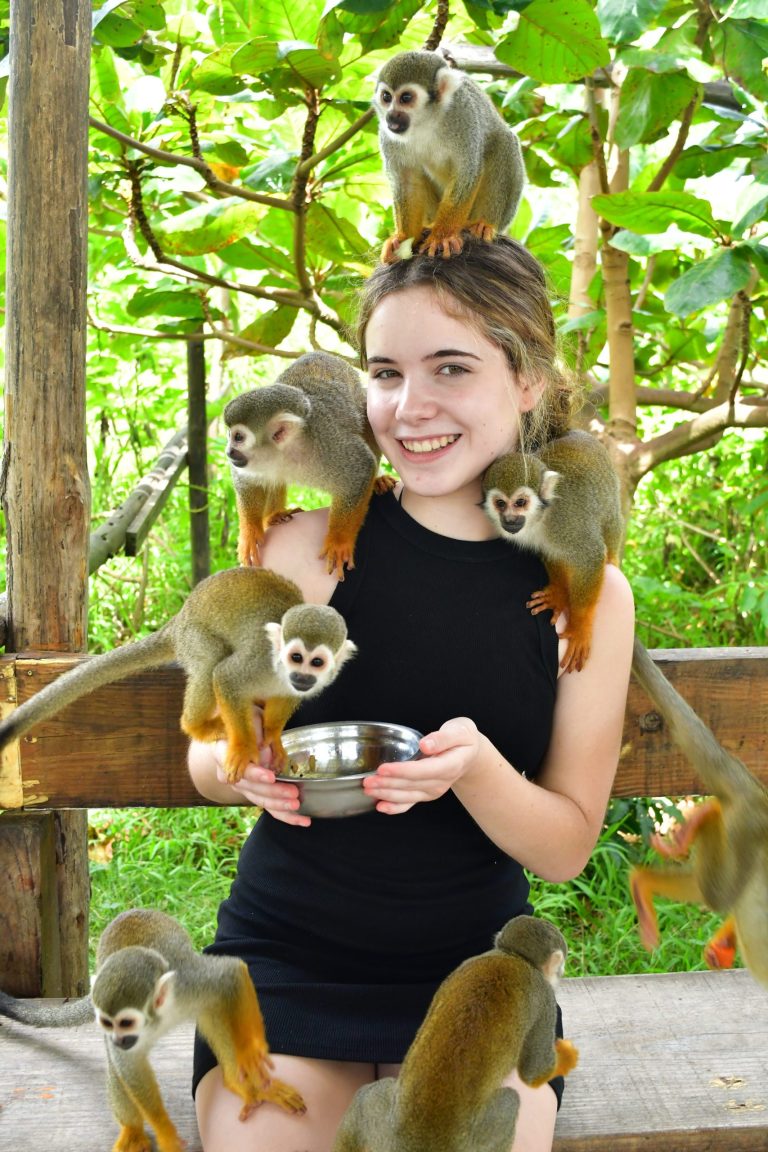 Jey Tours